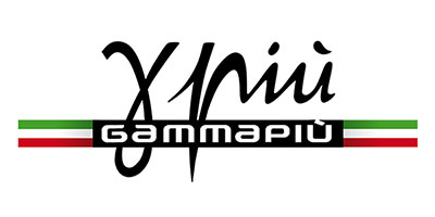 GammaPiu